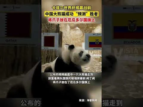 华体会体育娱乐与华体会体育娱乐相关问题2的核心差异是什么