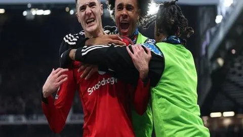 华体会体育娱乐