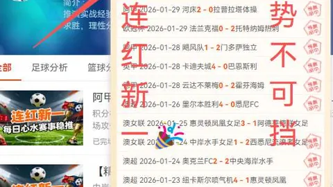 国米锋线塔雷米因肌腱劳损将休战乌迪内斯之战