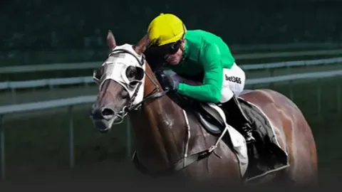 华体会体育娱乐